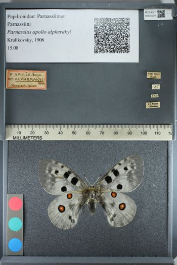 Media type: image;   Entomology 175070